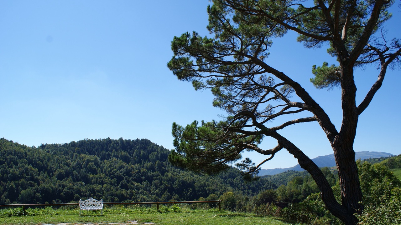 Photo of Outdoor in Mollo