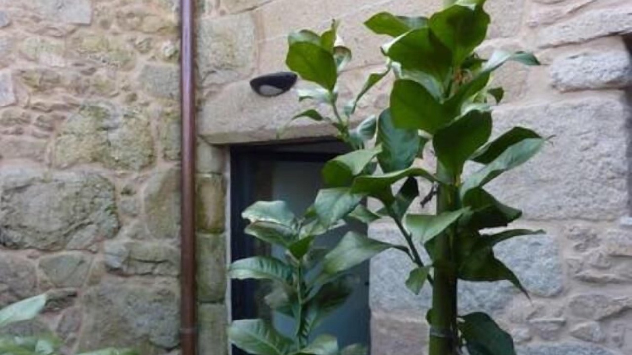 Photo of Patio Balcony in Carcacia