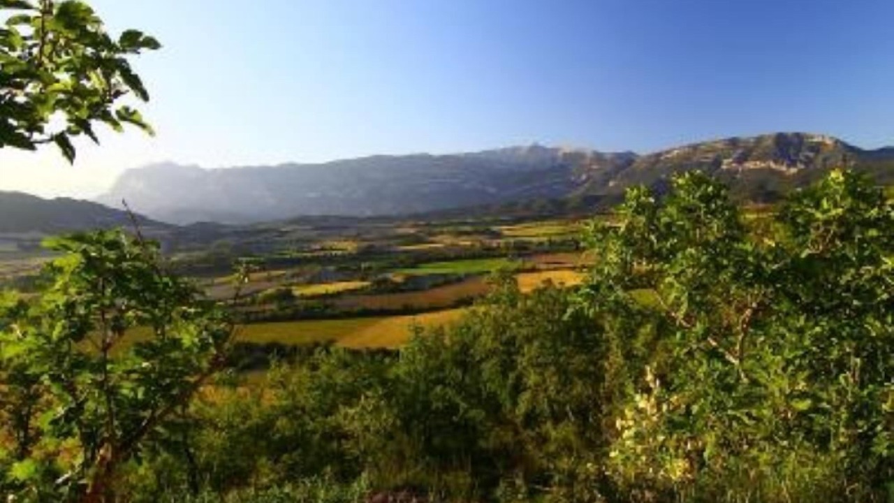 Photo of Others in Morillo de Monclus
