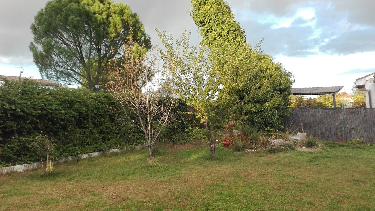 Photo of Outdoor in Escalona