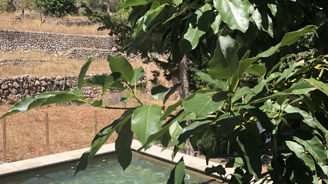 Photo of Outdoor in Fornalutx