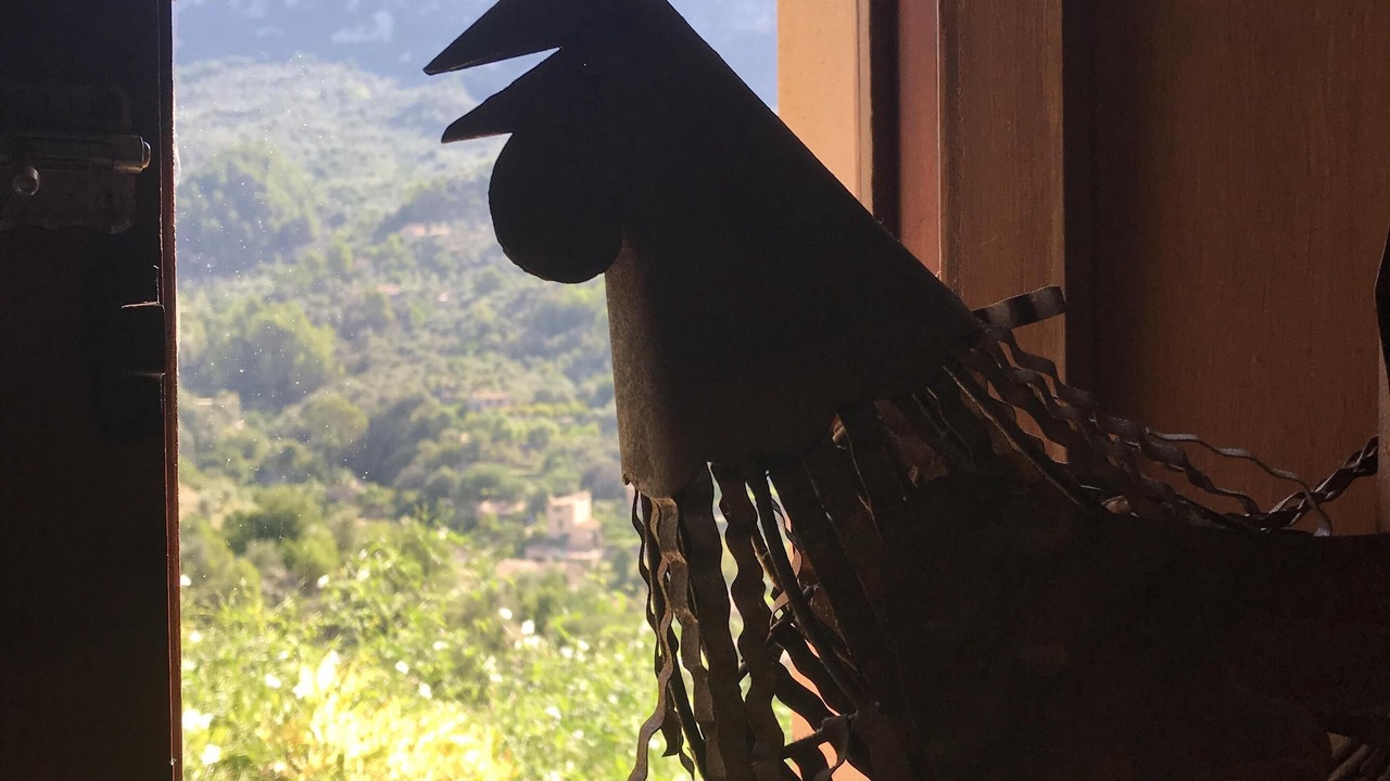 Photo of Others in Fornalutx
