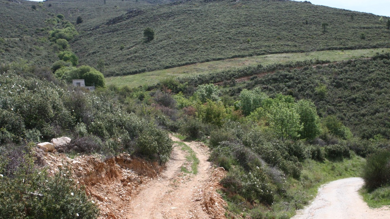 Photo of Outdoor in Berzosa del Lozoya