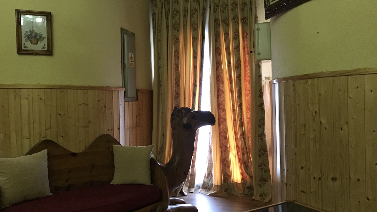 Photo of Others in Somosierra