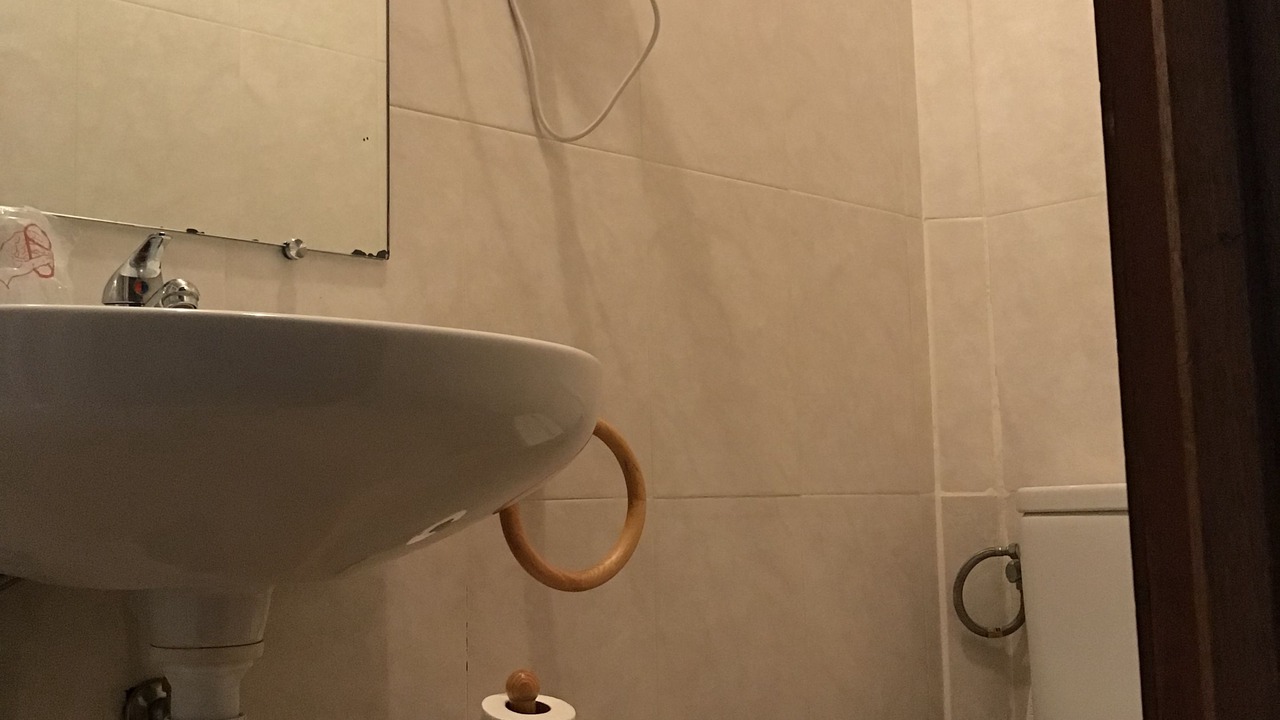 Photo of Bathroom in Somosierra