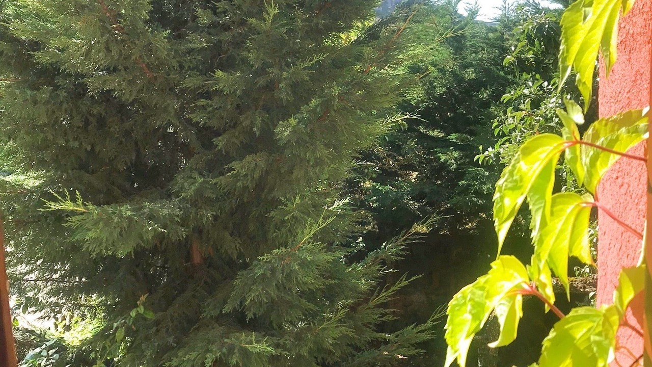 Photo of Outdoor in Torrebarrio