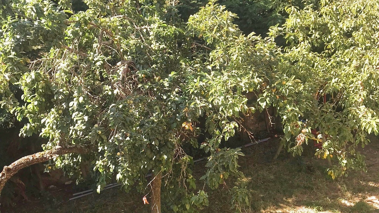 Photo of Outdoor in Torrebarrio