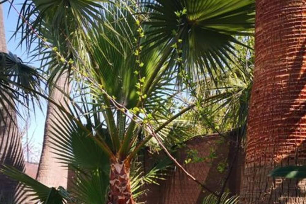 Photo of Outdoor in Es Garrovers