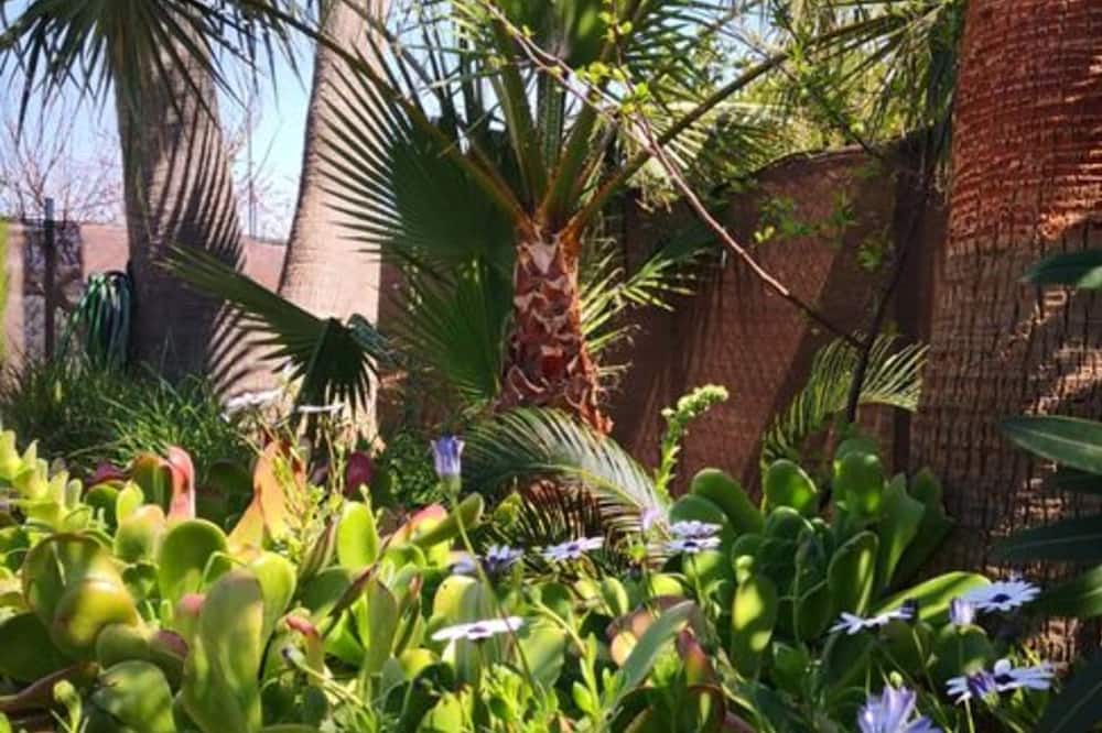 Photo of Outdoor in Es Garrovers