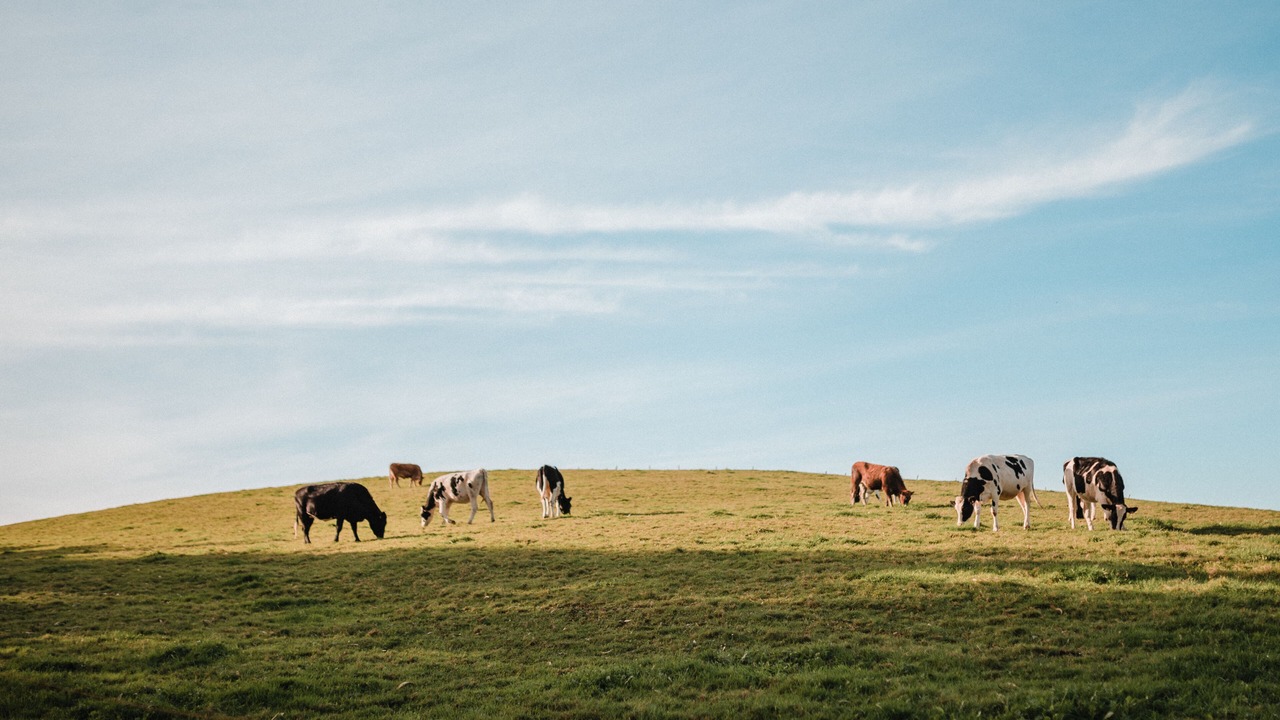 Photo of Outdoor in Galizano