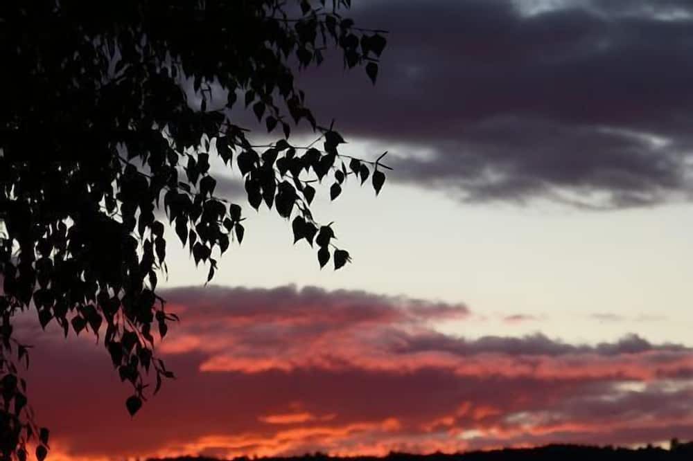 Photo of Others in Huelamo