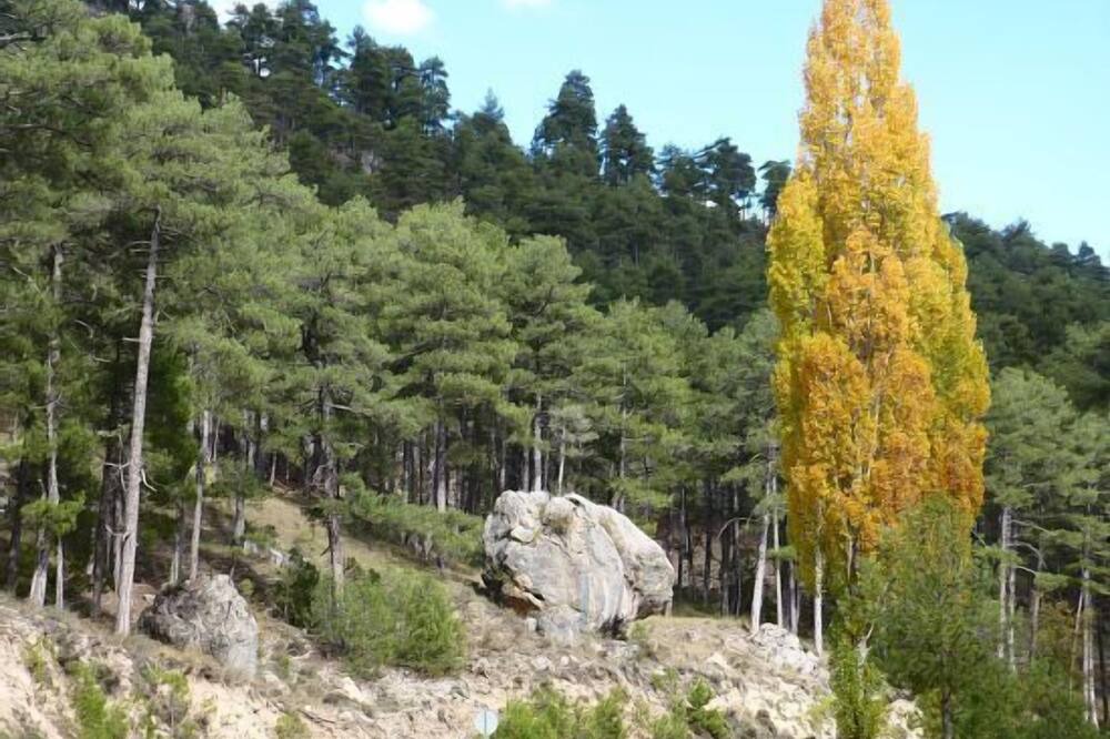 Photo of Others in Huelamo