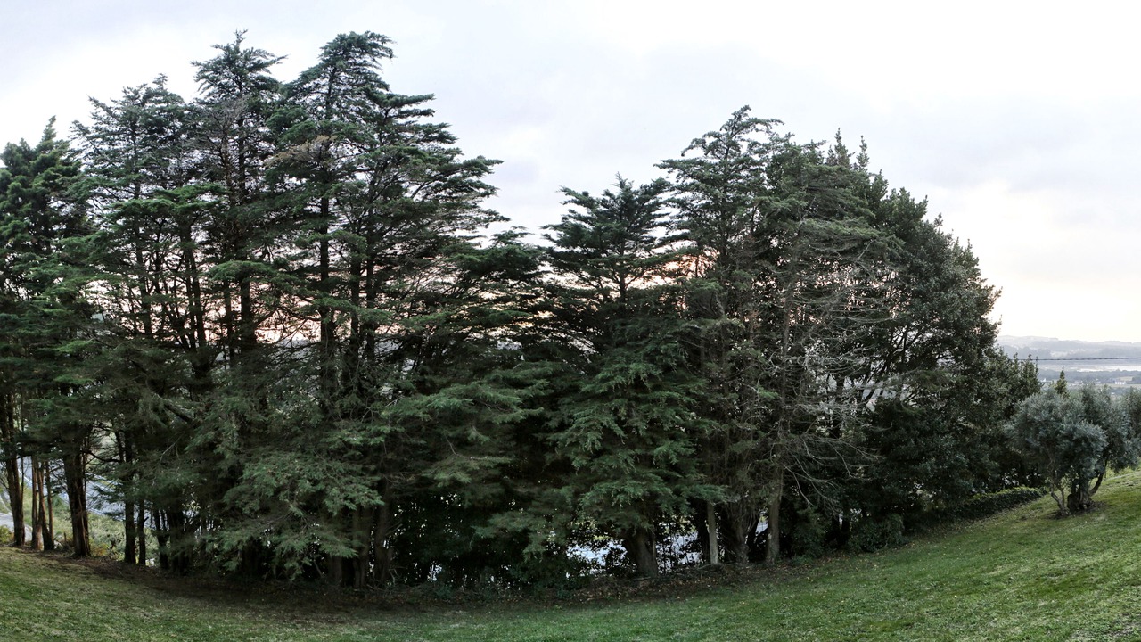 Photo of Outdoor in Valdovino