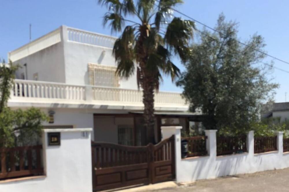 Photo of Outdoor in Alcanar