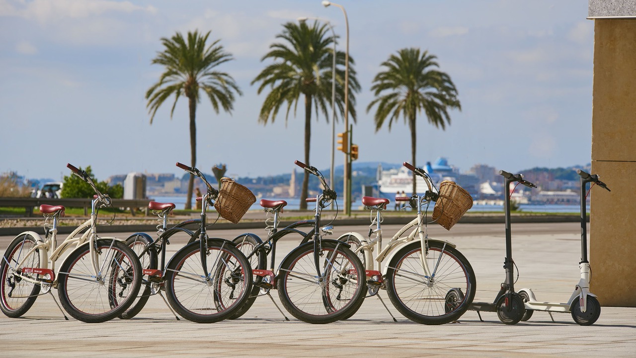 Photo of Outdoor in Palma de Mallorca