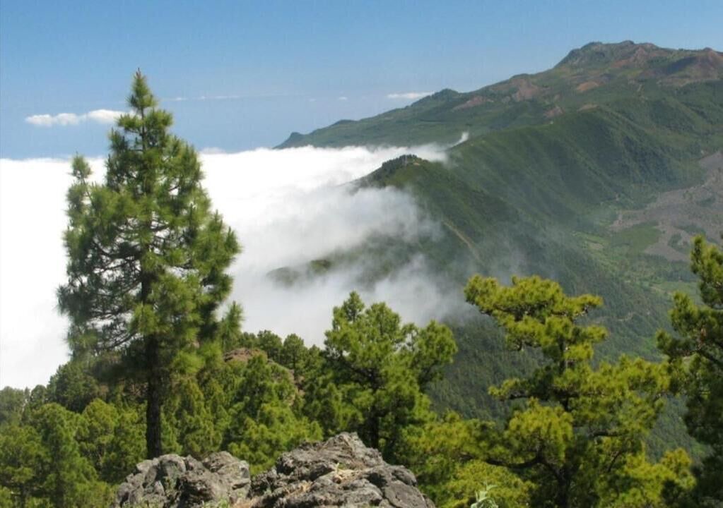 Photo of Others in Santa Cruz de la Palma