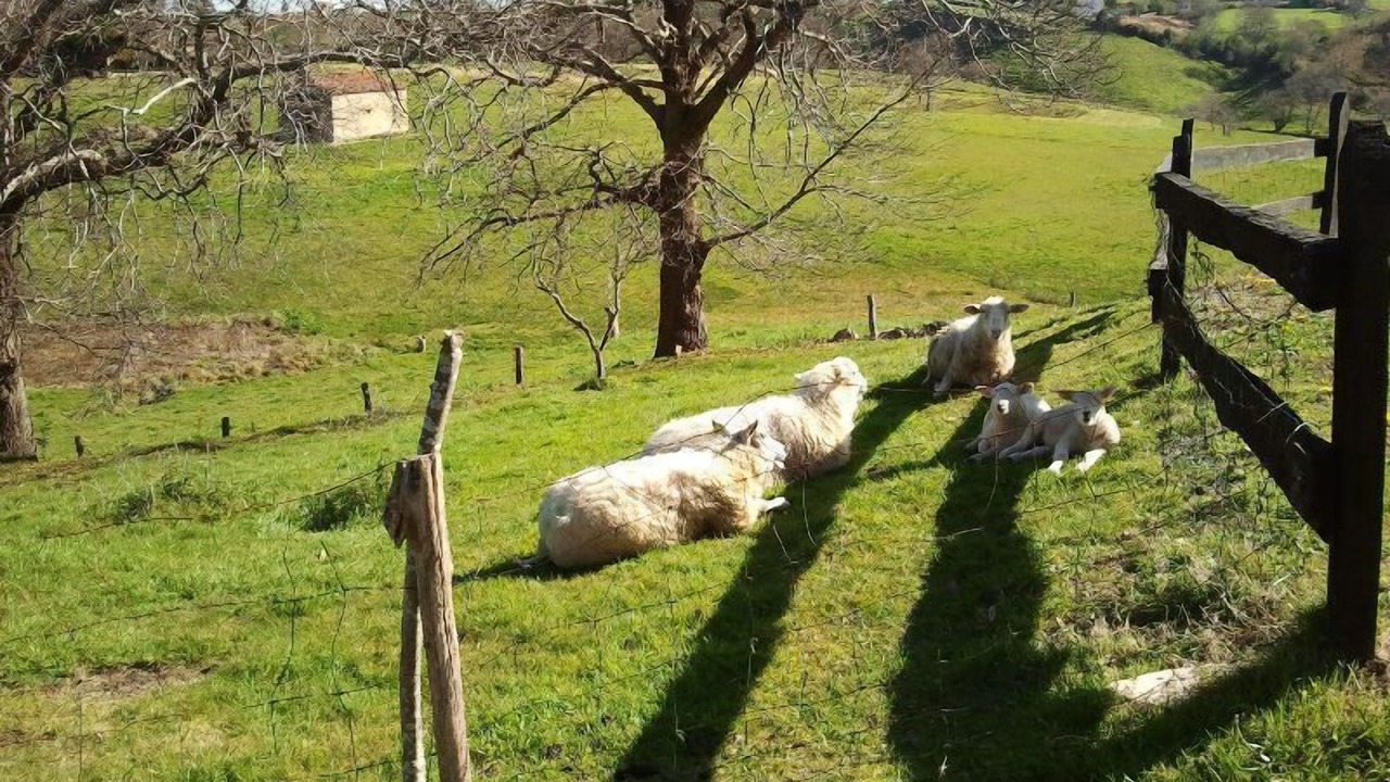 Photo of Others in Lamadrid