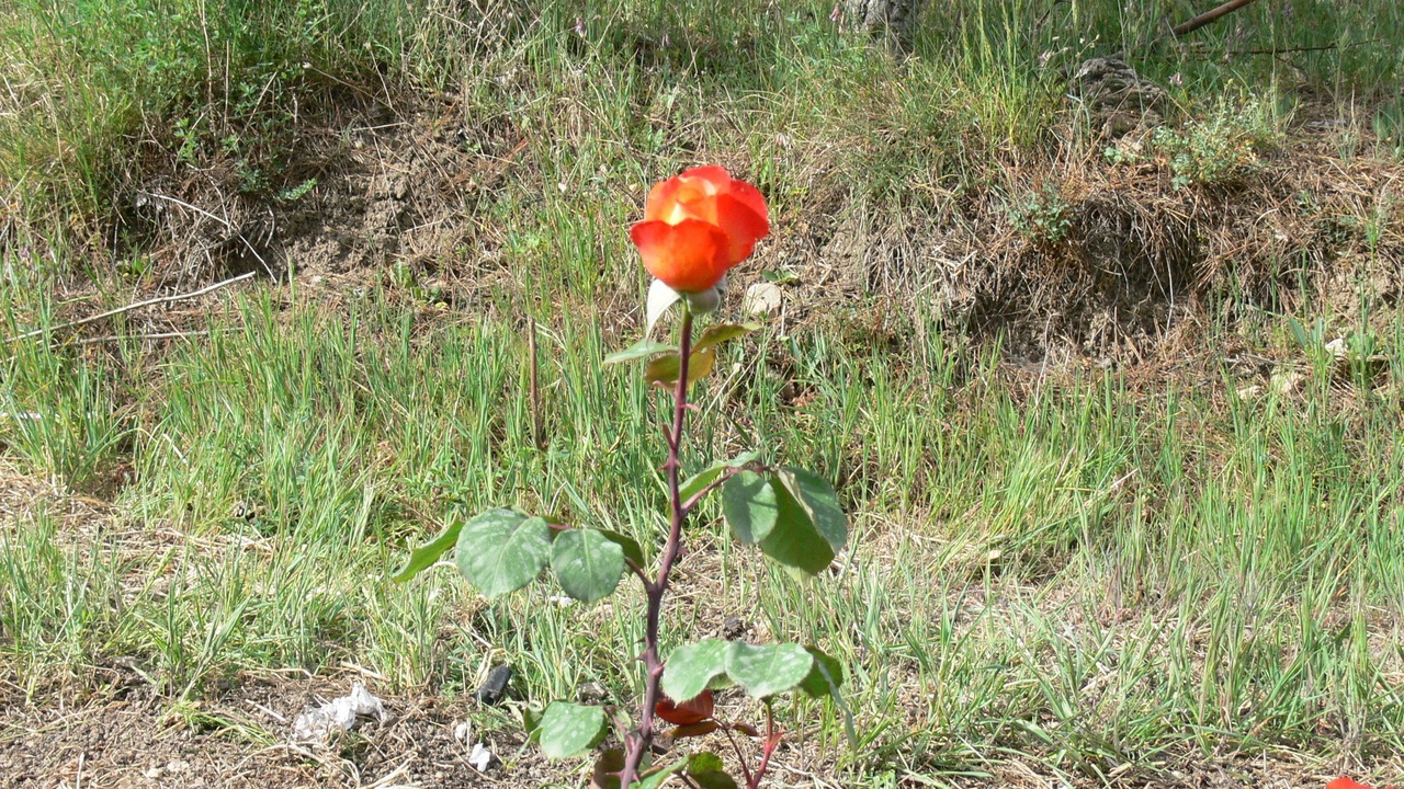 Photo of Outdoor in Medinaceli