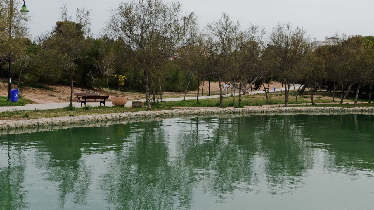 Photo of Outdoor in La Mata
