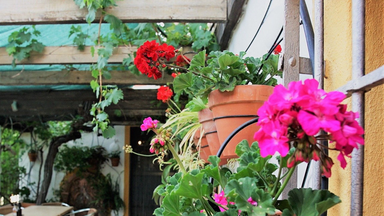 Photo of Patio Balcony in La Brena