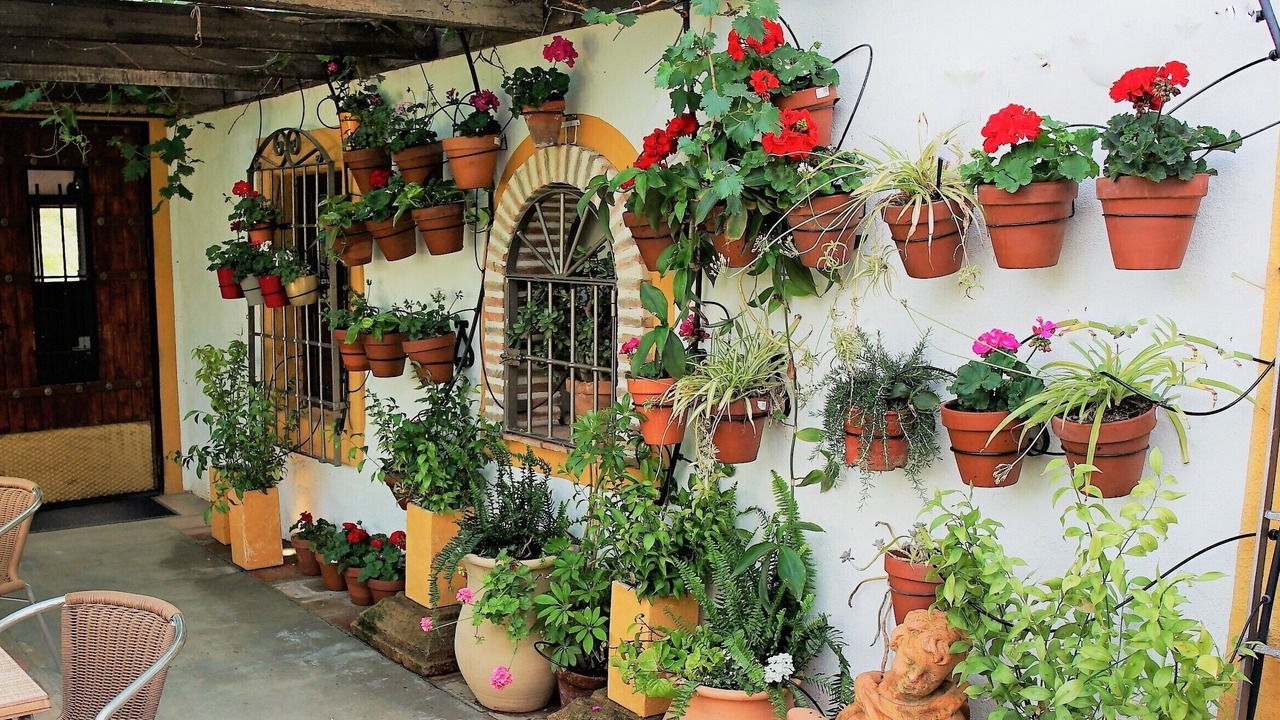 Photo of Patio Balcony in La Brena