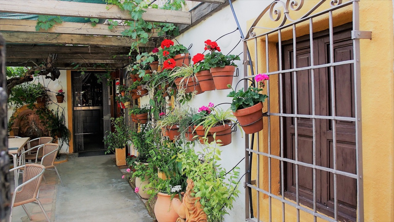 Photo of Outdoor in La Brena
