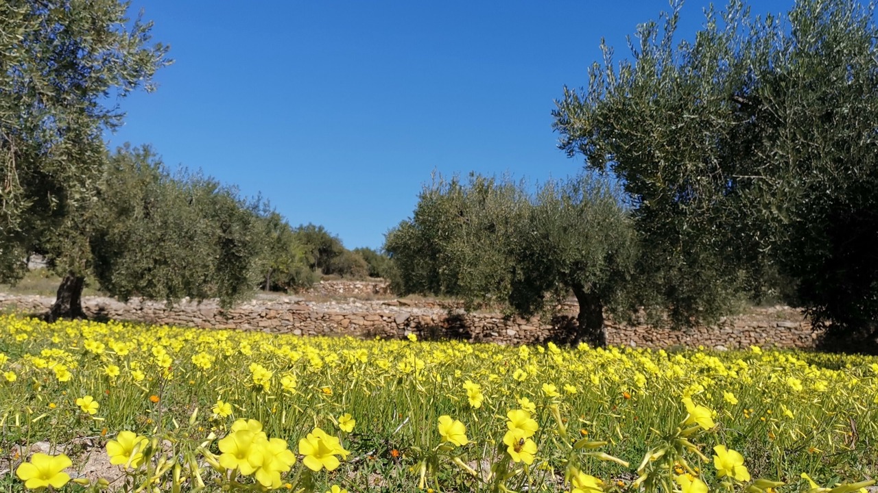 Photo of Outdoor in La Brena