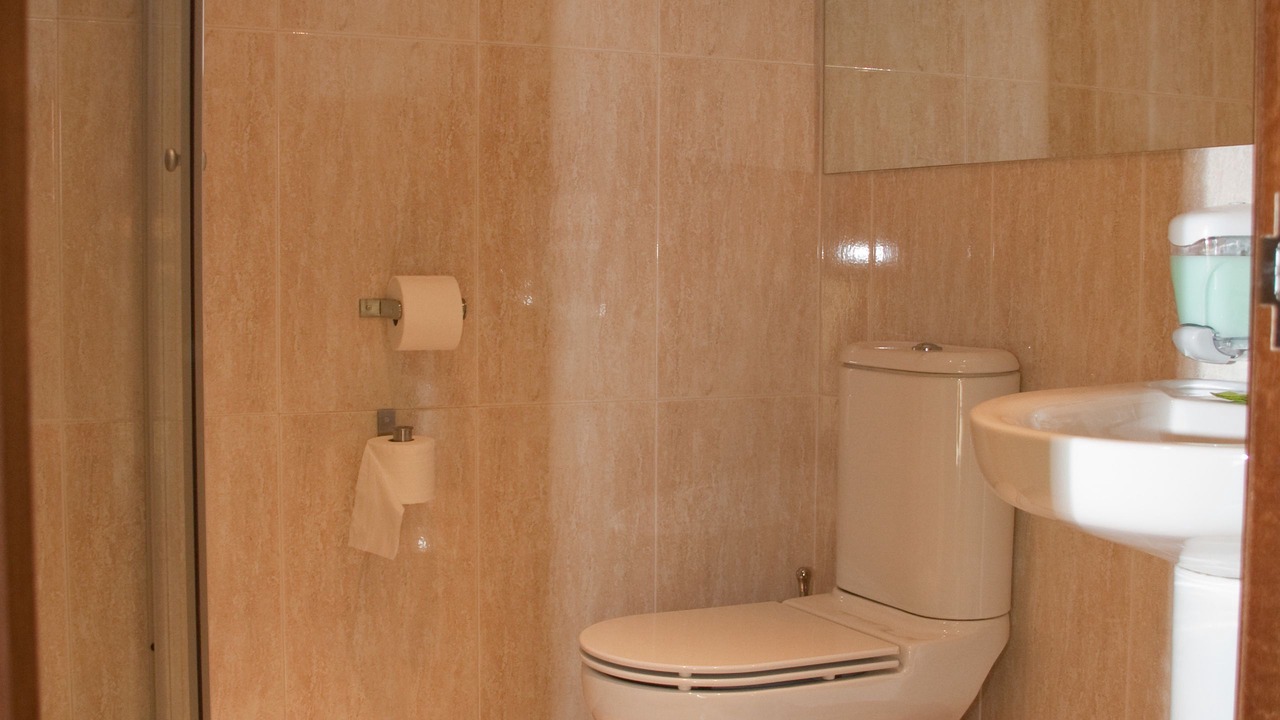 Photo of Bathroom in Burgos