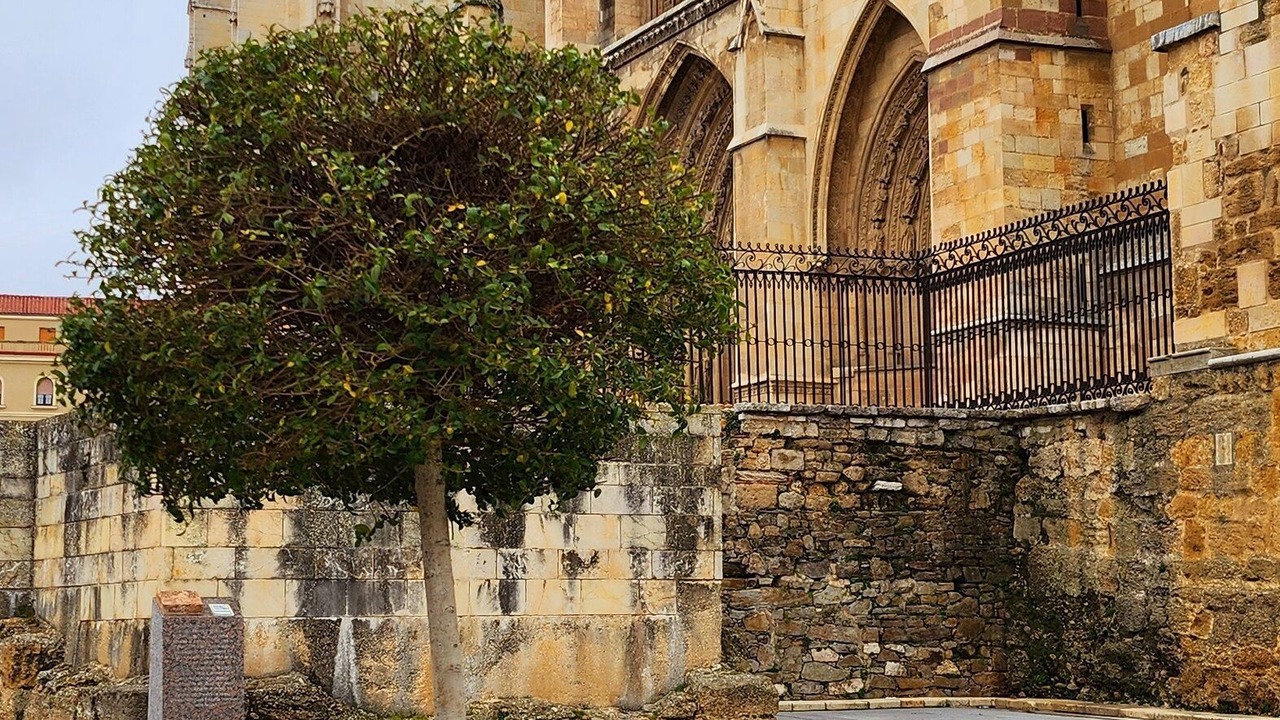 Photo of Outdoor in Old Town