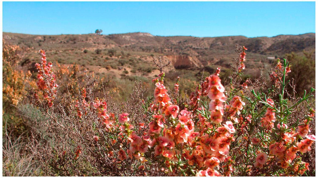 Photo of Outdoor in Sorbas