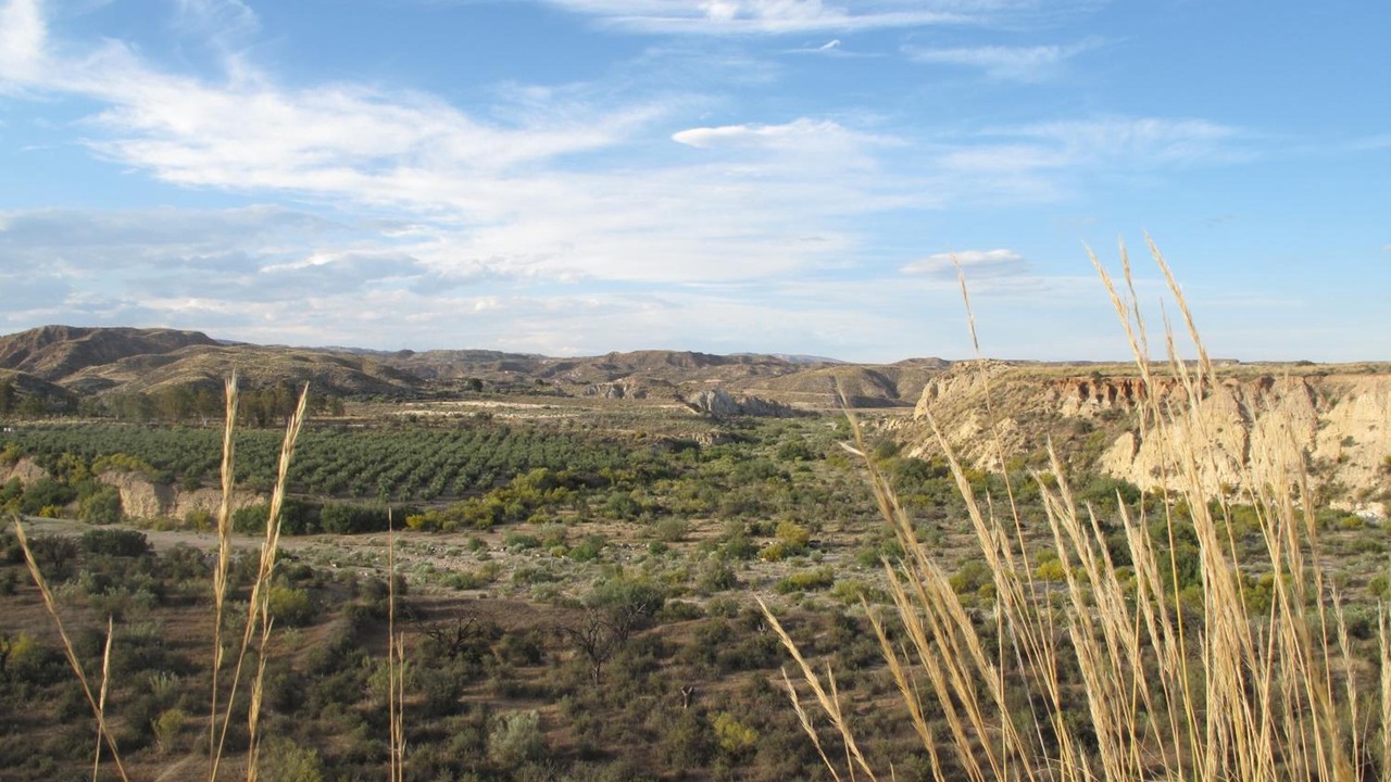 Photo of Outdoor in Sorbas