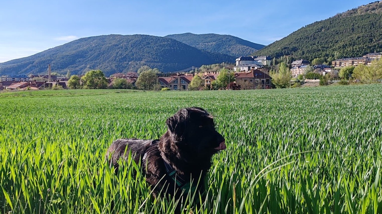 Photo of Outdoor in Castiello de Jaca