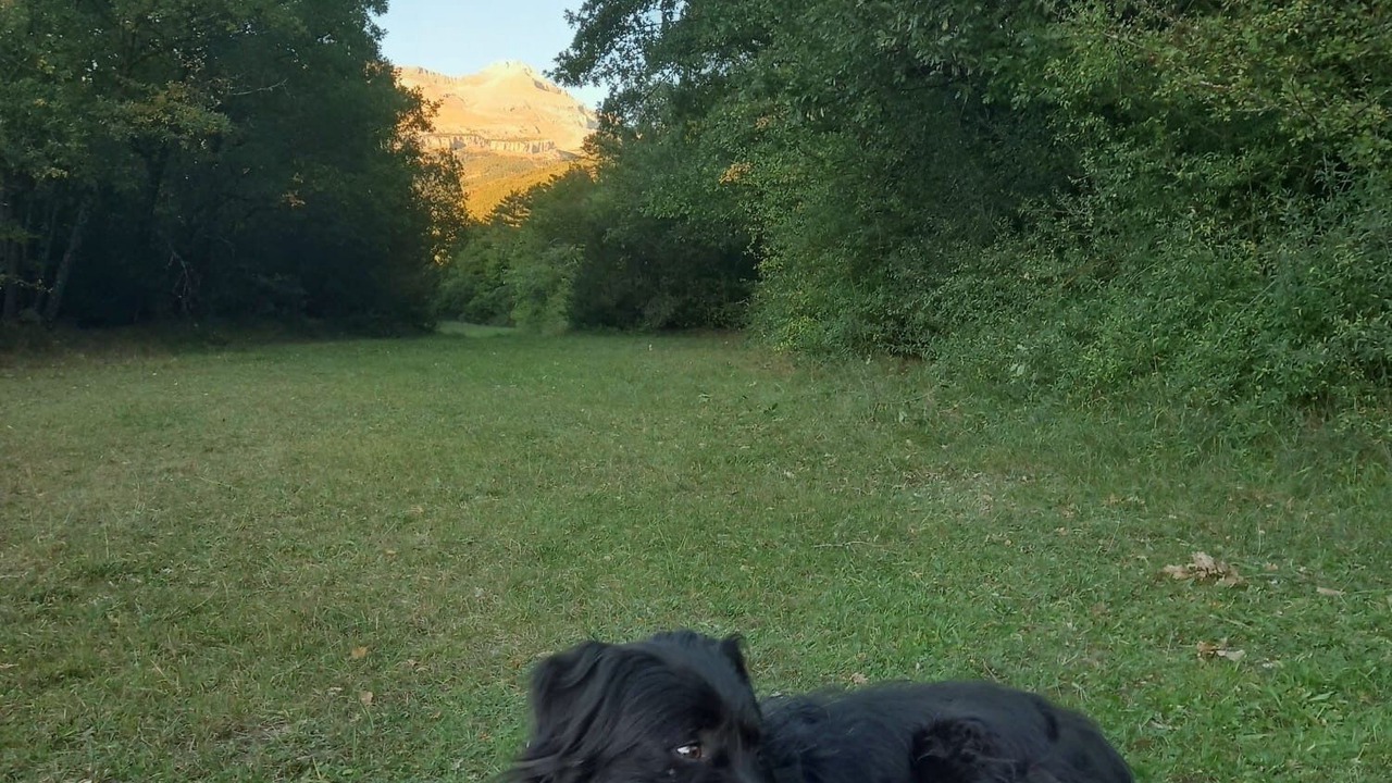 Photo of Outdoor in Castiello de Jaca
