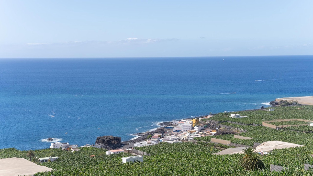 Photo of Others in Puerto Naos