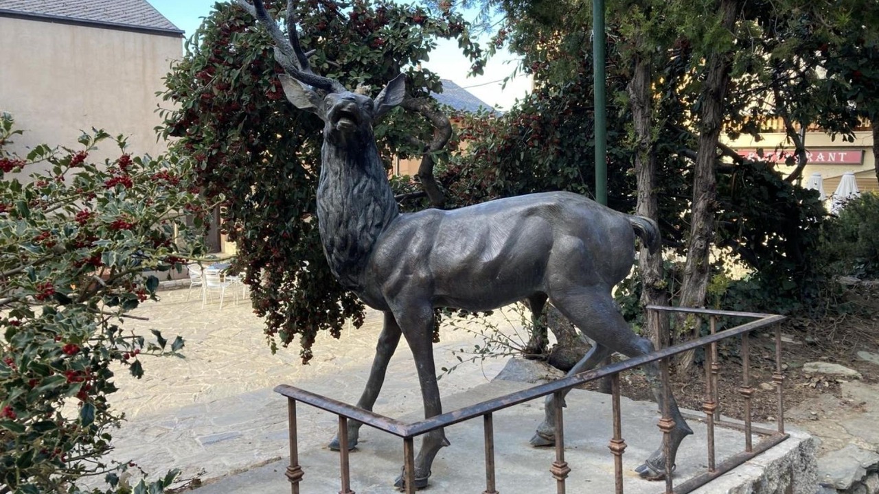 Photo of Others in La Molina
