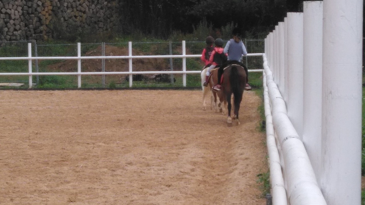 Photo of Others in Helguera