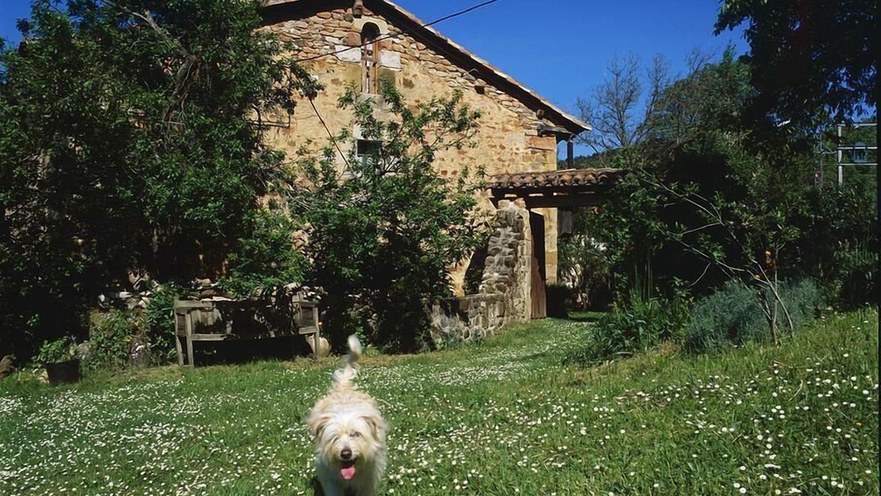 Photo of Outdoor in Valle de Manzanedo