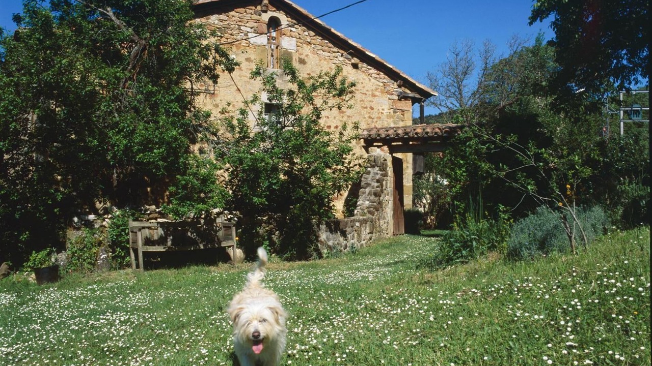Photo of Outdoor in Valle de Manzanedo