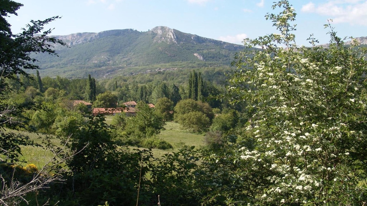 Photo of Outdoor in Valle de Manzanedo