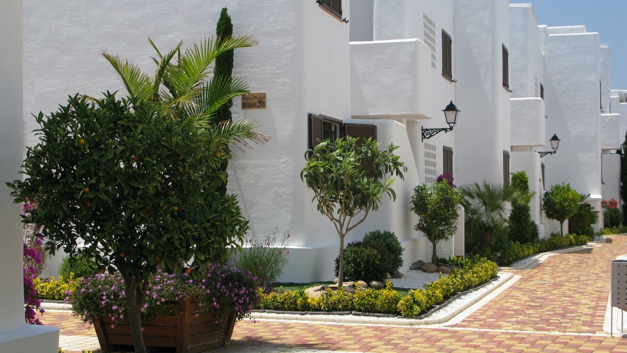 Photo of Others in Mar de Pulpi