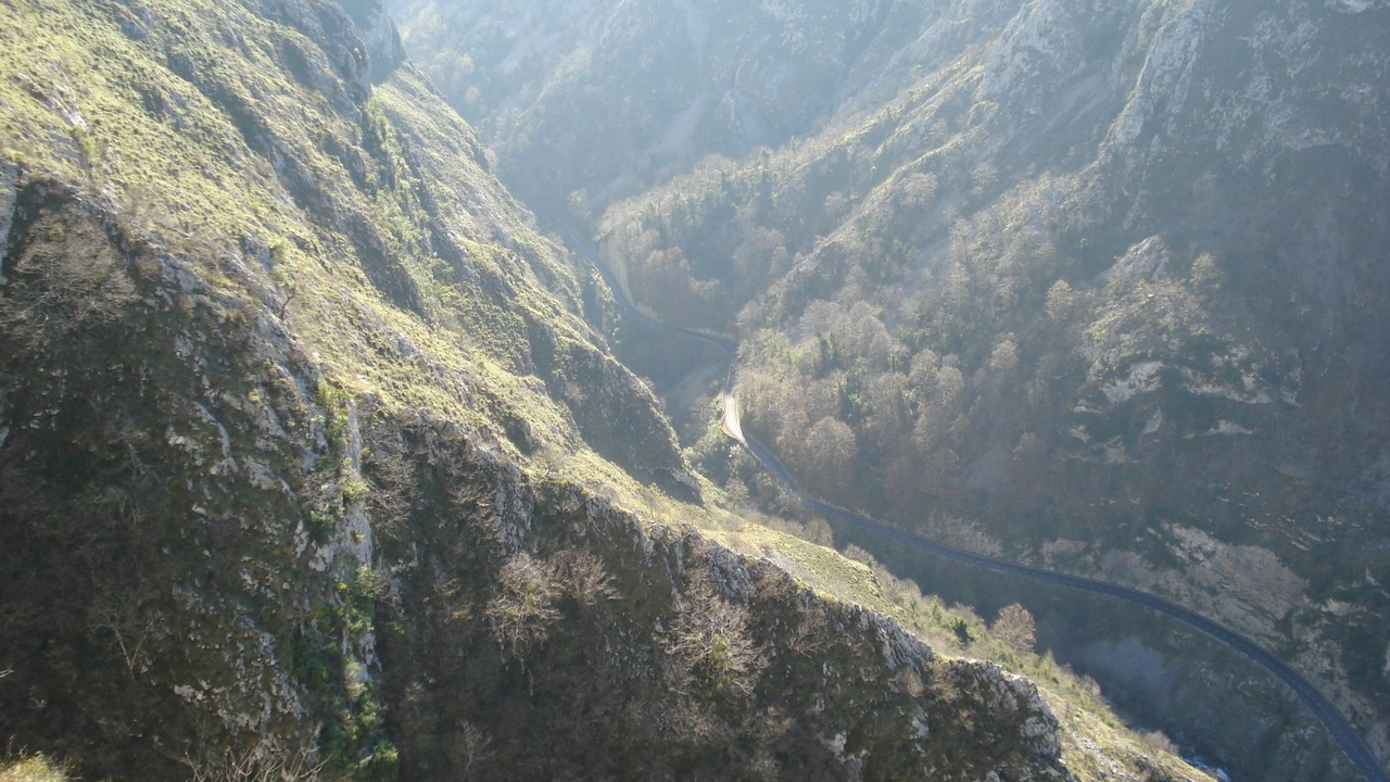 Photo of Others in Ponga