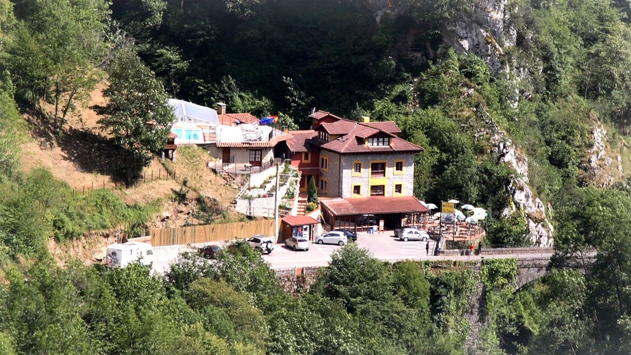 Photo of Outdoor in Ponga
