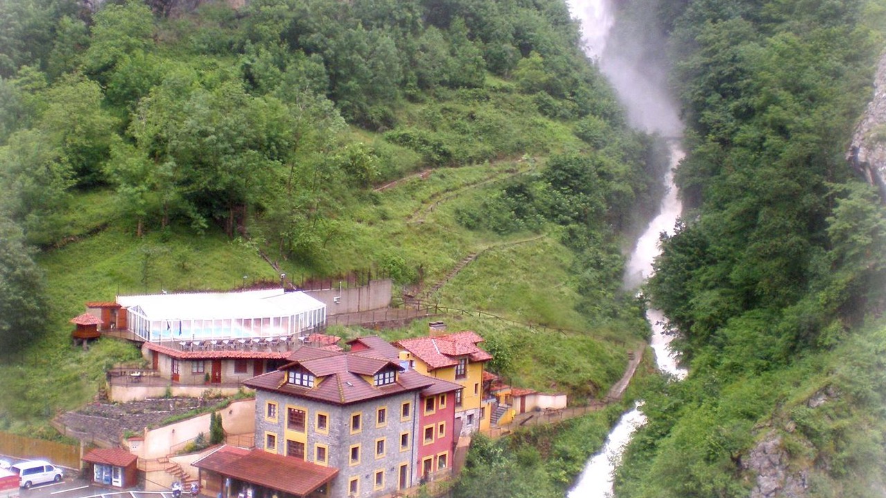 Photo of Outdoor in Ponga