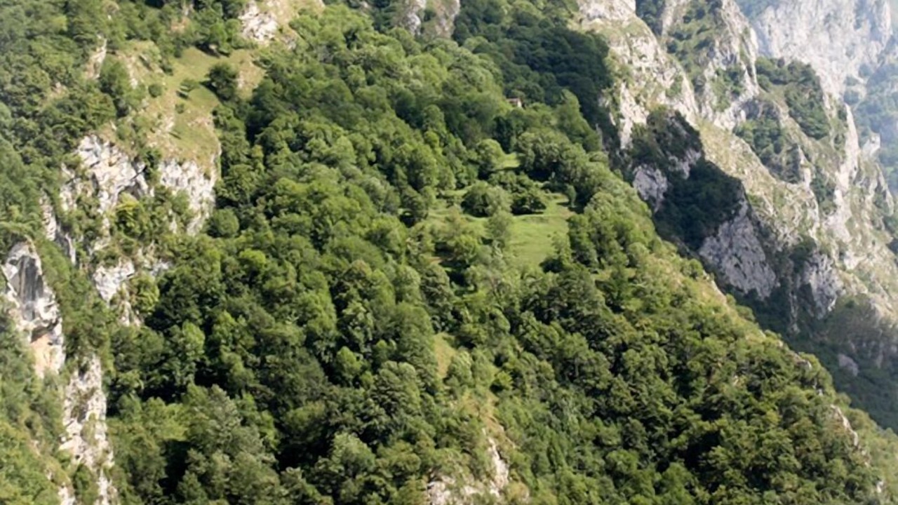 Photo of Outdoor in Ponga