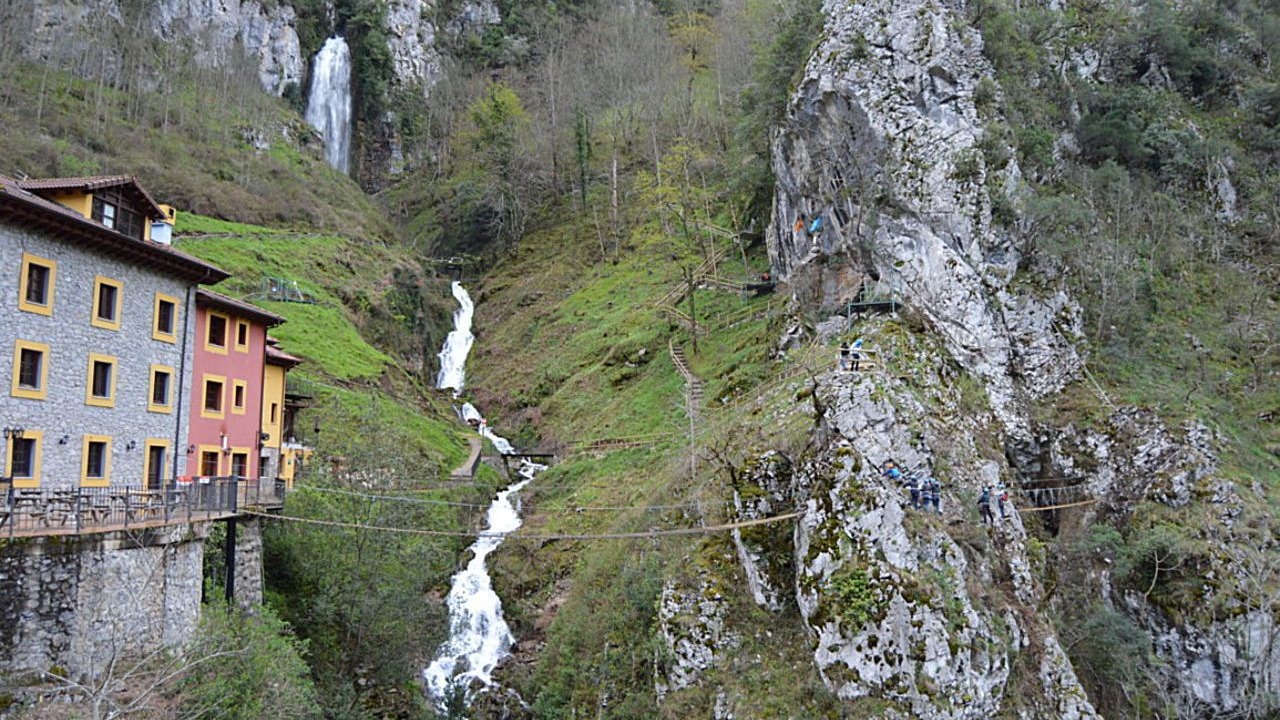 Photo of Outdoor in Ponga