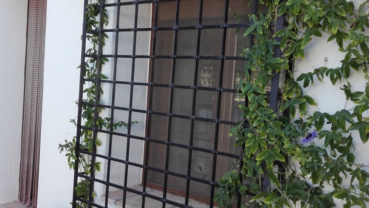 Photo of Outdoor in La Almudema