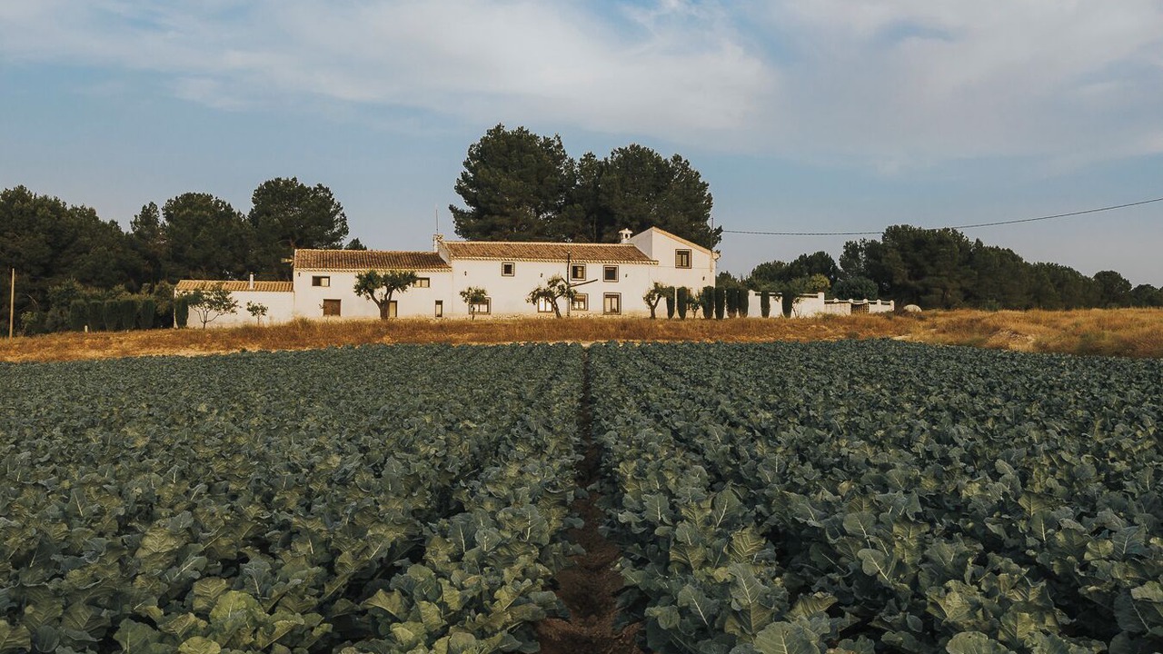 Photo of Outdoor in La Almudema
