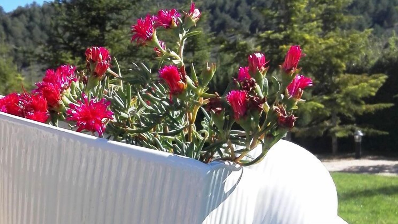 Photo of Outdoor in Grado del Pico