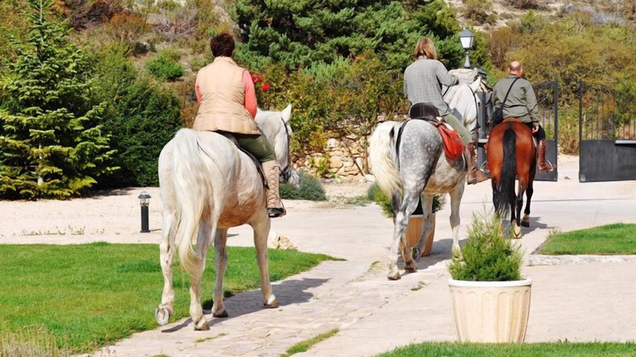 Photo of Others in Grado del Pico