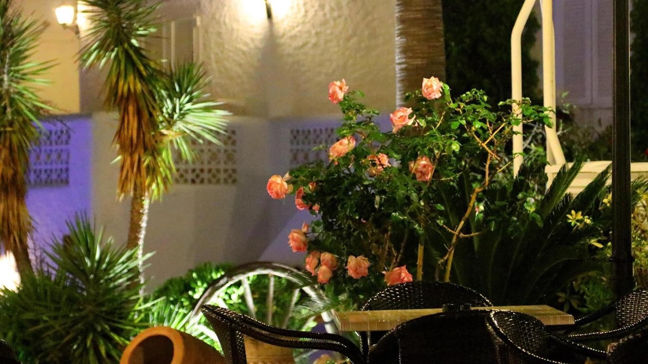 Photo of Outdoor in Peguera